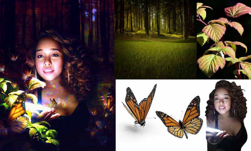 Photoshop创建森林自画像照片处理教程(图2)