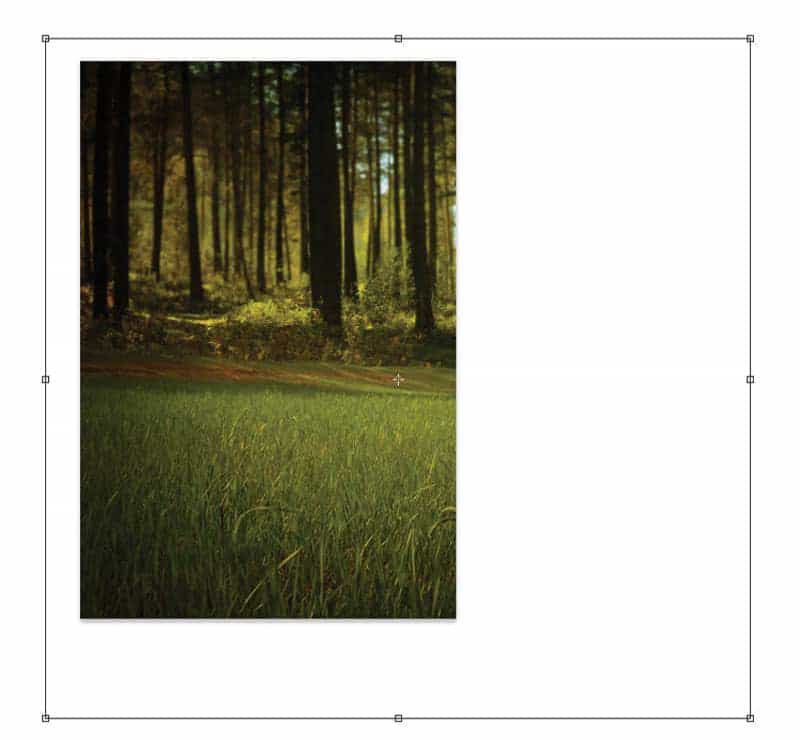 Photoshop创建森林自画像照片处理教程(图3)