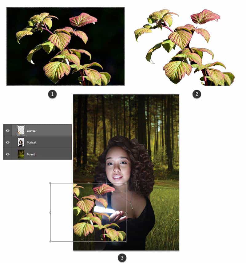 Photoshop创建森林自画像照片处理教程(图5)